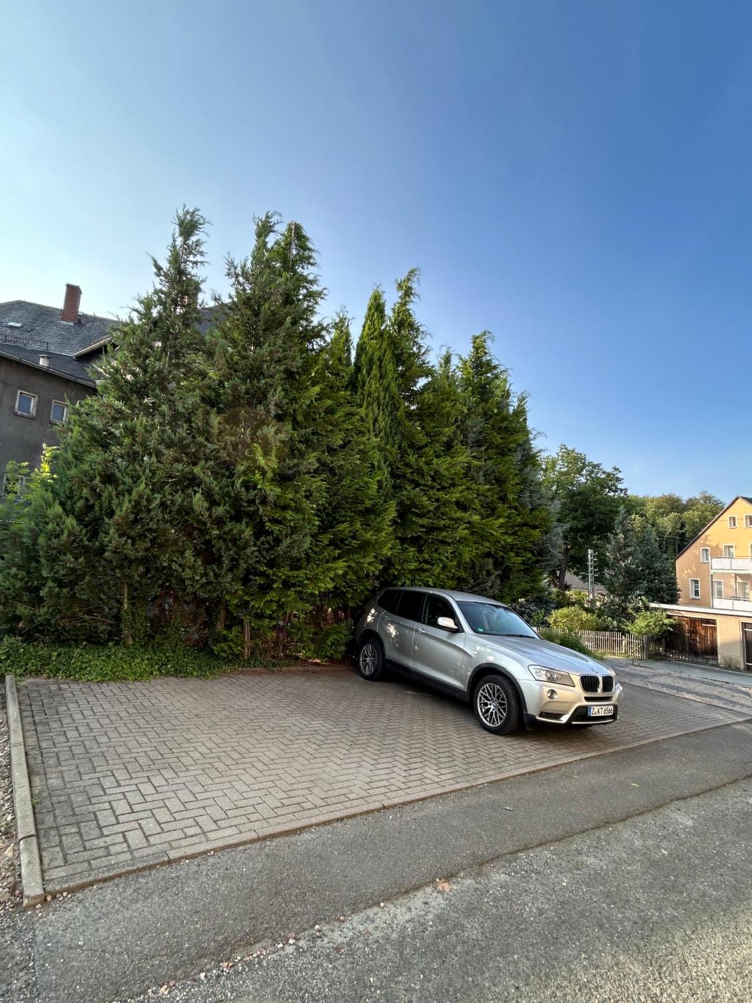 Im Gruenen Lichtenstein (Saxony)